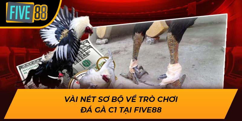 Trải Nghiệm Đá Gà C1 Đẳng Cấp Số 1 Cùng Nhà Cái Five88 1 Vài nét sơ bộ về trò chơi đá gà c1 tại Five88